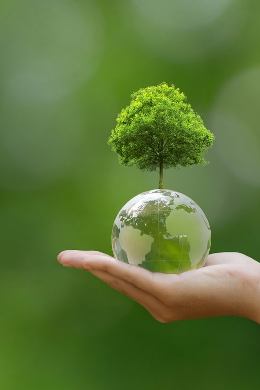 EUDR deforestation reglement européen